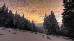 Der_Thüringer_Wald