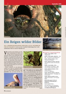 Artikel aus "Das Stadtmagazin" Jena